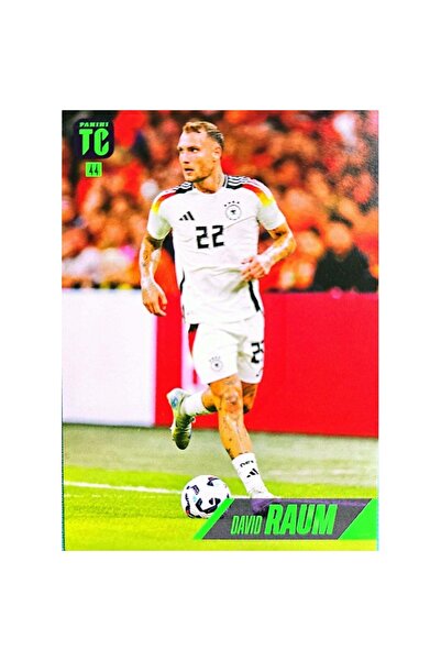 Panini بطاقة لاعب كرة القدم ديفيد راوم