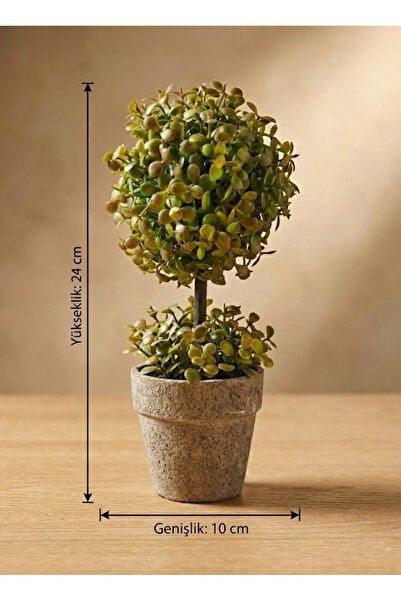 FB Cup Yapay Çiçek Şimşir Esintili Mini Masa Üstü Saksılı Dekoratif Bitki 24 cm