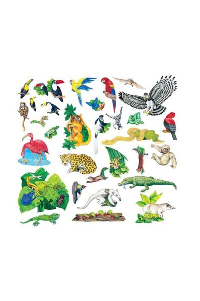 OEMN Set piese animale padurea tropicala pentru flanelograf