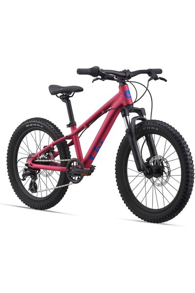 Giant Liv STP 20 FS - Profesyonel Seri 20 Jant Çocuk Dağ Bisikleti Hidrolik D...