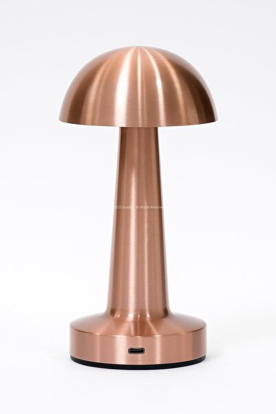 Busstier Mantar Tasarımlı Kablosuz Şarjlı Metal Dokunmatik LED Masa Lambası G...