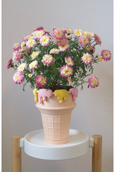 Della Dondurma Tasarımlı Dekoratif saksı