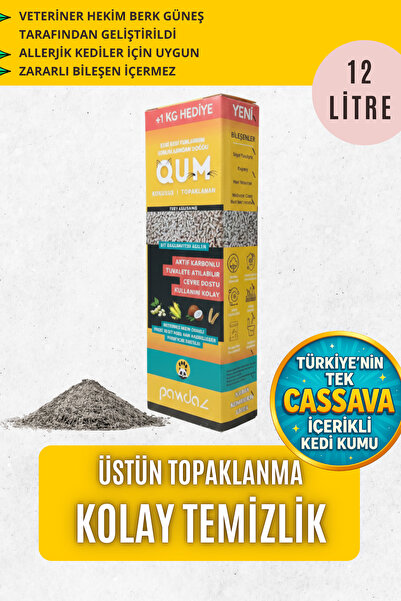 pawdaz Bilinçli Kedi Ebeveyni Başlangıç Seti - Matatabi Dino , Mağara ve Qum bir arada