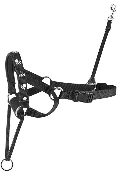 İNTERPET طوق رأس ميكي للتدريب على المشي، كبير، أسود