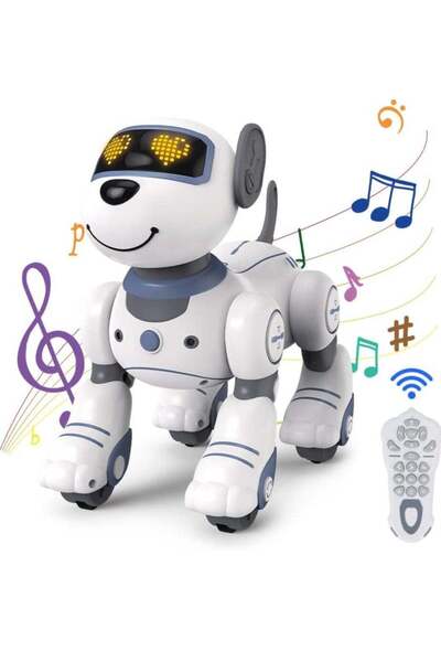 Gonice Robot Dog Toy, Remote Control Robot Dog Toys for Kids