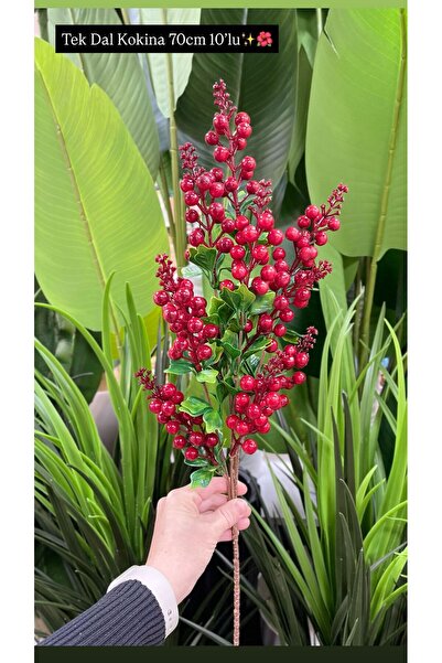 KOZALILAR Dekoratif Yapay Kokina Dalı 70 cm 10 Dallı