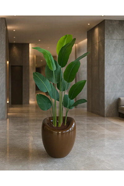 BLOOMONA DESIGN Starliçe Royal Dino