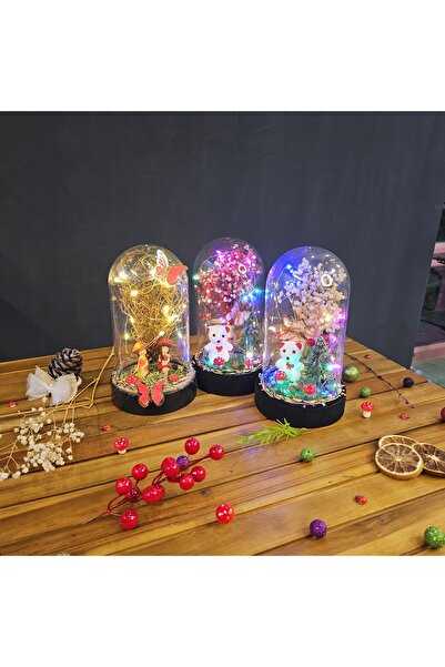 Rosea Çiçekevi Işıklı Mini Fanus Sevgiliye, Arkadaşa Hediye Doğum Anneler Gün...