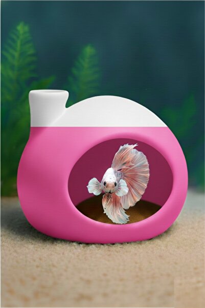 MD×JOA Beta Dinlenme Alanı ✱ Balık Yuvası ✱ Testi ✱ KarmaRenkler ✱ 8*8 Ölçüle...