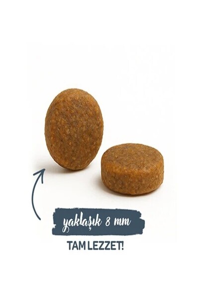 Sanabelle Life Alabalıklı ve Yaban Mersinli Yetişkin Kuru Kedi Maması 400 gr