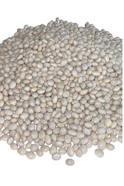 BADIÇ ŞEKER FASULYE Kuru Fasulye 2 KG Coğrafi İşaret Tescilli Kelkit Şeker Fa...