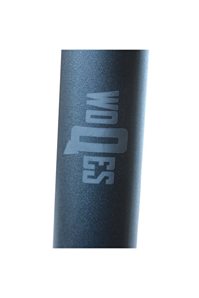 WOQES Uzun Paralel Bar Fitness Egzersiz Aleti Dips Bar