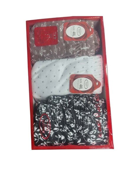 The comprehensive house Women's Multicolor and Size Panties