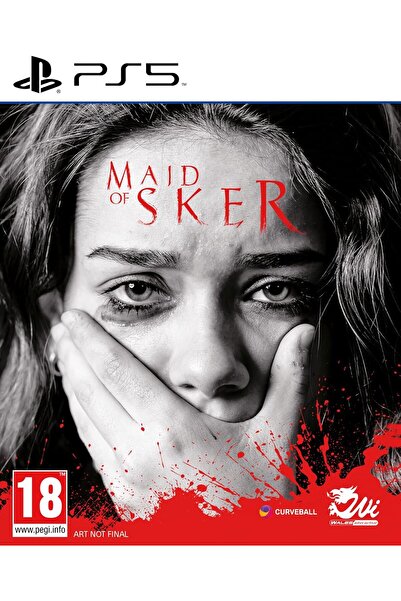 MDM MERIDIEM GAMES Maid of Sker /PS5