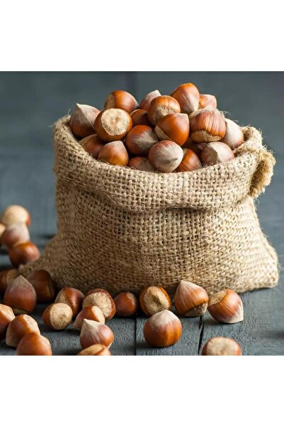 Karadeniz OFSÜT Kabuklu Fındık.yeni mahsül 1000 GR