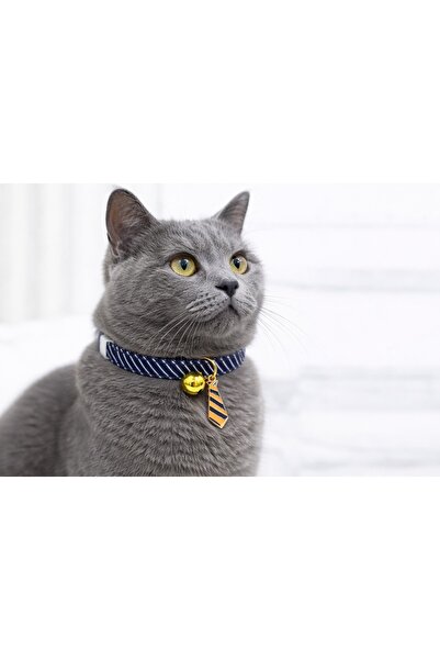 PAWNEST طوق قطط مخطط مع مشبك أمان قابل للتعديل، مع جرس كهربائي