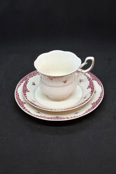 ABBETC F. Bone China Porcelain Tea Cup and Saucers 3 Pieces 150 ml