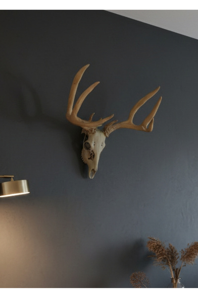 RITA ROSSA Büyük Boy Gerçekçi Geyik Kafatası & Boynuzu Trofe Duvar Dekoru | Rustik & İskandinav Stili