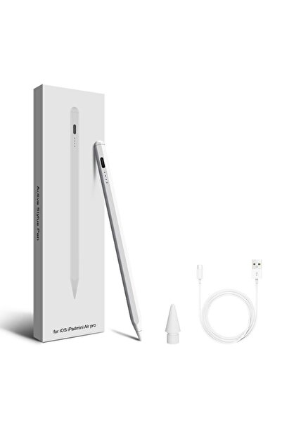 Generic Active Stylus Pen for iPad (Anti-Error Touch, Bluetooth)