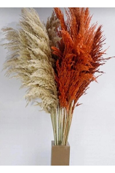 Dekora Çiçek Turuncu- Krem Pampas 15 Adet 120 Cm