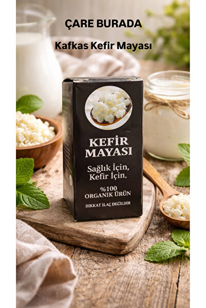 Çare Burada Kafkas Kefir Mayası