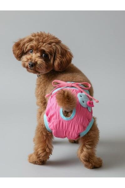 Kemique Teddie Dişi Köpek Regl Külotu | Köpek Donu | Köpek İç Çamaşırı | Ayar...