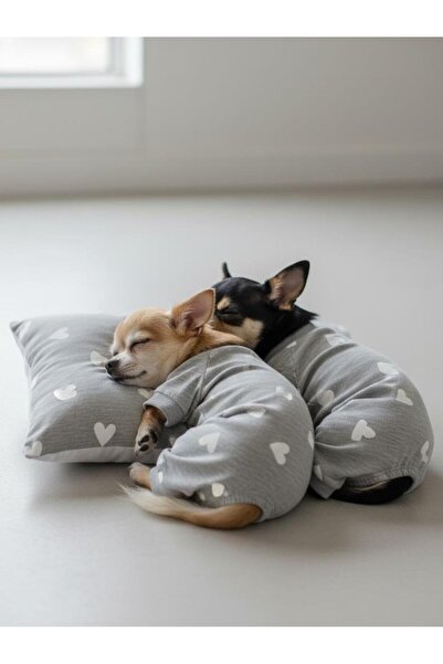 Kemique طقم نوم للكلاب من سوفت هارتس |   بدلة قطنية ممشطة للكلاب ووسادة صغيرة...
