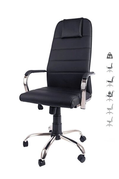 TR VİZYON SEPET Ofis Koltuğu Yönetici Koltuğu Makam Koltuğu Bilgisayar Koltuğu