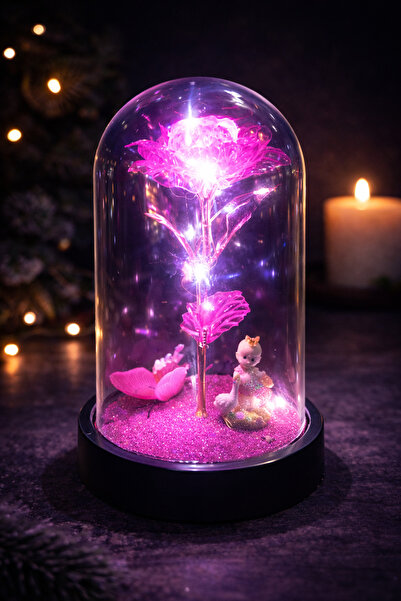 Bioren Kız Bebekli Sonsuzluk Güllü Işıklı Hediyelik Fanus (Doğum Günü ve Hami...