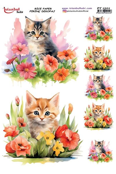 İstanbul Hobi Pirinç Dekopaj Kağıdı 30x42cm PT-1501 Çiçek Kedi