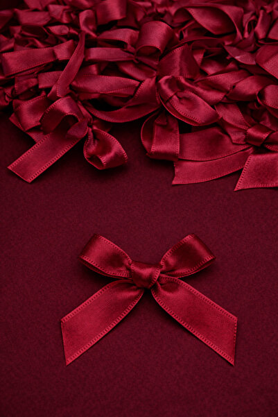 Massaltay 30 Adet Hediye Paketleme Fiyonk – Polyester Dekoratif Fiyonklar, DI...