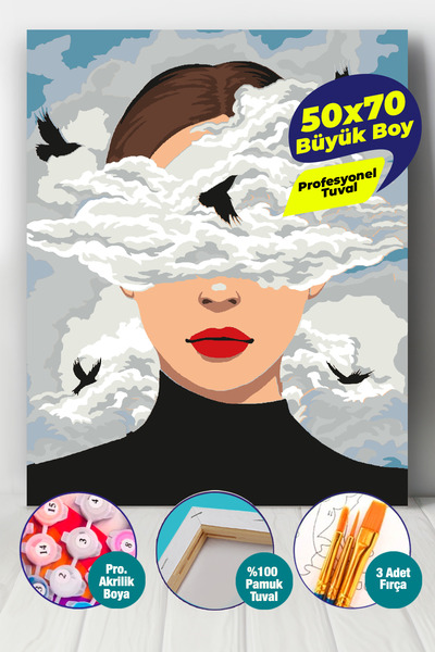 Picasso World Hobby Art Başım Duman Sayılarla Boyama 50x70 Cm Numaralı Tuval ...