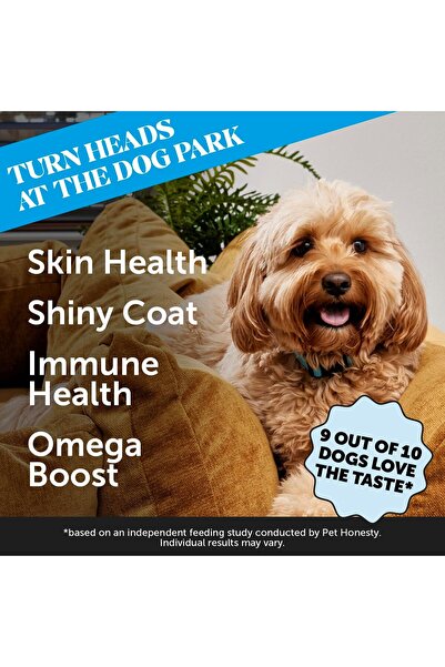 Pet Honesty Skin Health Salmon Chews - Itch Relief for Dogs, Omega 3 Fish Oil...
