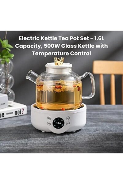 Generic طقم غلاية كهربائية مع إبريق شاي، سعة 1.6 لتر، 500 واط، زجاجي مع تحكم ...