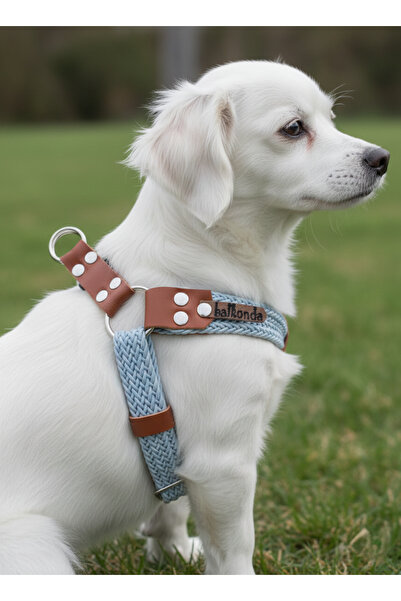 balkonda طوق للكلاب من السلالات الصغيرة والمتوسطة مع حبل شبكي قابل للتعديل وجلد نوبوك باللون الأزرق الفاتح