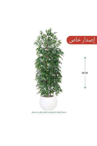 CENTRHOME A 200-meter-tall bamboo tree in the center of Makour