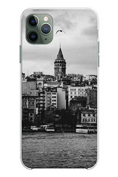 TechTree iPhone 11 Pro Max Compatible Printed Silicone Case with Galata Tower...