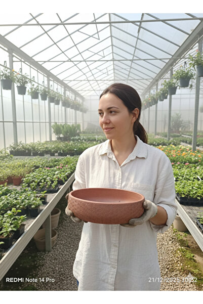 bitkidünyam Dekoratif Aranjman ve Orkide saksısı 25*9-10 cm