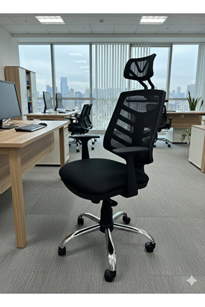 TRENDCORE Fileli Ofis Çalışma Koltuğu, Yönetici Koltuğu, Oyuncu Koltuğu, Maka...