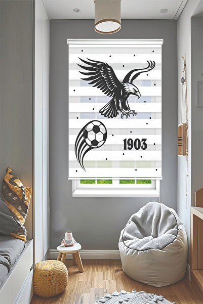 Perdecizade (ENXBOY)KARTAL (İSİM YAZILIR)DİJİTAL BASKILI ZEBRA PERDE-COCUK OD...