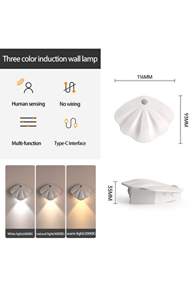 Choice 3Color in one lamp White LED Night Light Motion Sensor Shell Shaped Spotlight USB Type C Rechargeabl