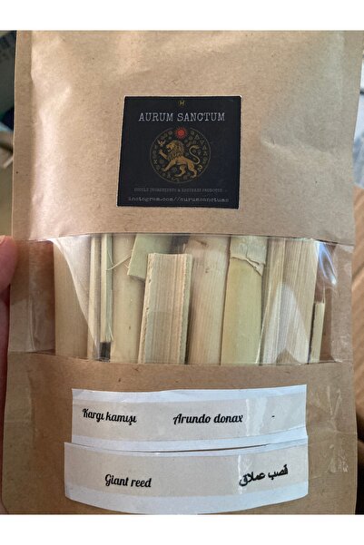 Kargı Kamışı Arundo Donax 25 gr Giant Reed
