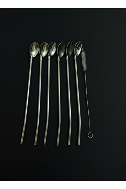Elista 6-Piece Stainless Chrome Latte Spoon with Straw, Cocktail Spoon and Cleaning Brush, 22 cm Drop Model Daml