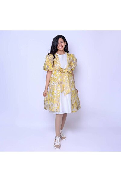 Mamnon Embroidered organza dress, two separate pieces