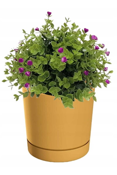 Other Mustard flowerpot with saucer 17.8 cm Tubo