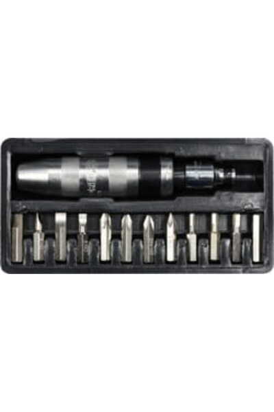 Vorel ȘURUBELNIȚĂ DE IMPACT CROMATĂ + 12 BITURI 65123