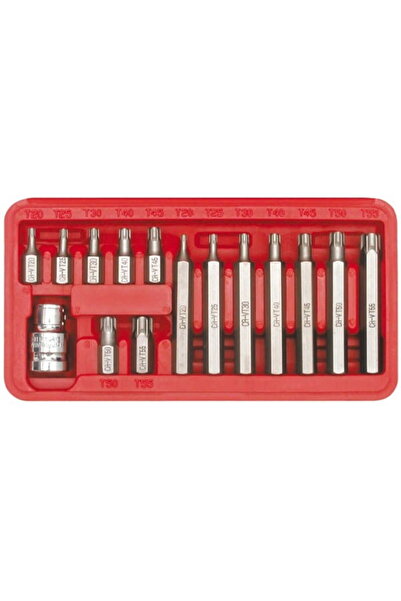 Vorel Biți Torx 15 buc 66580