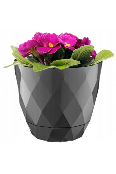 Other Ghiveci de flori cu farfurie, capac plastic antracit 15x175cm