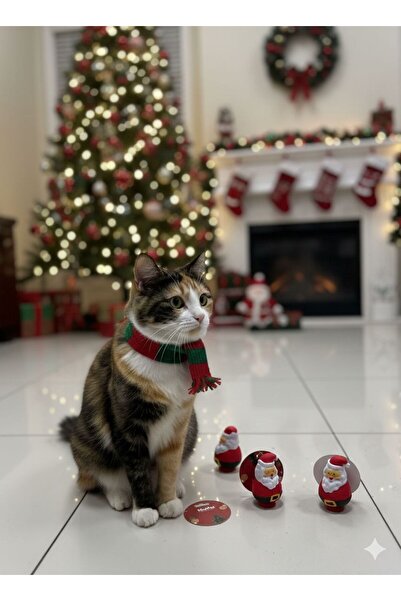 Pro Chem لعبة ذات طابع عيد الميلاد للقطط والكلاب