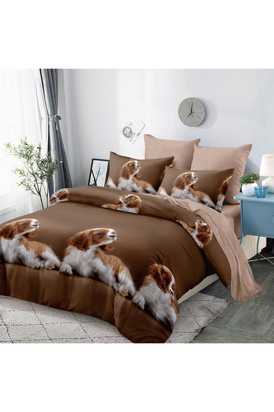 Pucioasa Bed linen for double bed 2 people Pucioasa, 6 pieces, Finet, DREAM-0333